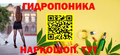 дживик Бийск