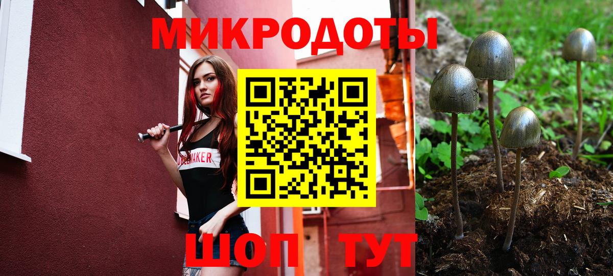 Галлюциногенные грибы прущие грибы Берёзовский