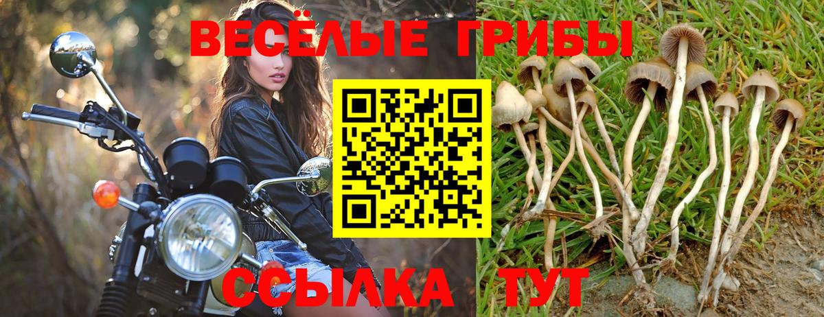 Берёзовский  Псилоцибиновые грибы GOLDEN TEACHER  Вход с VPN 
